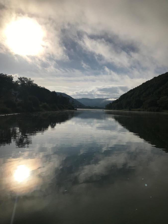 Das Moselhaus Ediger-Eller Dış mekan fotoğraf